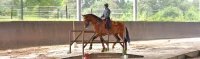 acpsl-slideshow-dsc0748