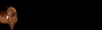inner-reduced-full-size-id02